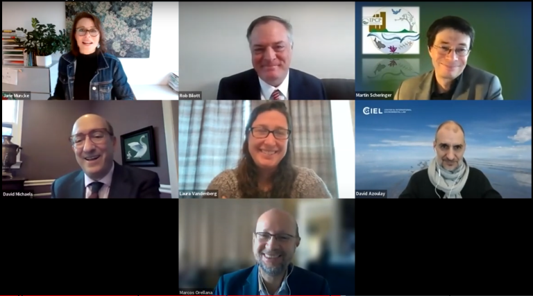 Webinar: Unwrapping Conflict of Interest in Chemicals and Waste Governance