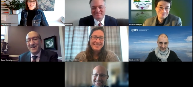 IPCP Webinar: Unwrapping Conflict of Interest in Chemicals and Waste Governance